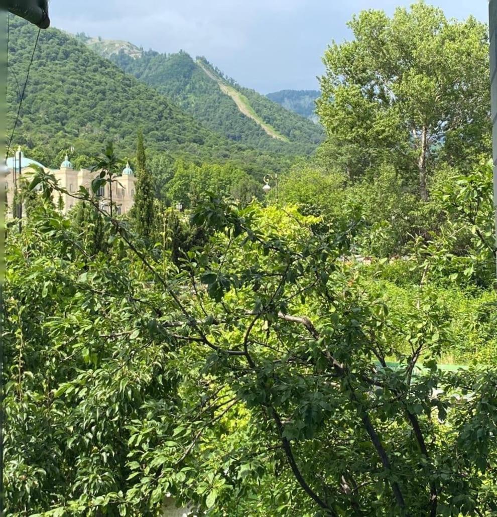 Panoramic Tufandag Family Apartment Gabala Bagian luar foto